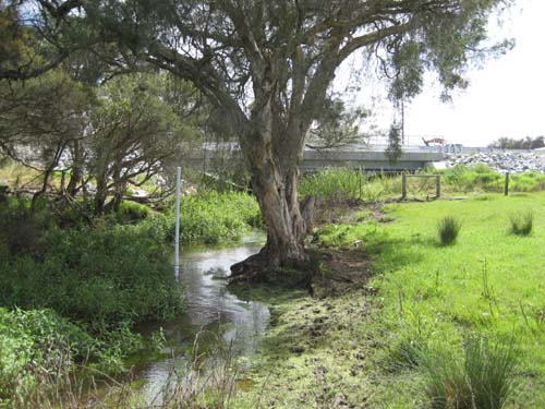 2002 Southern River Urban Water Management Strategy